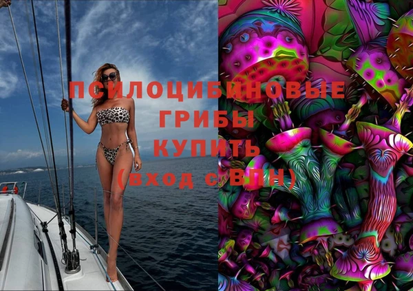шишки Ступино