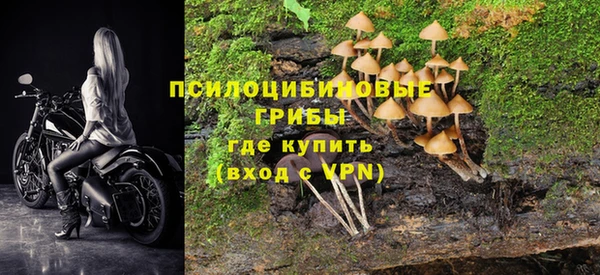 ГАЛЛЮЦИНОГЕННЫЕ ГРИБЫ Похвистнево