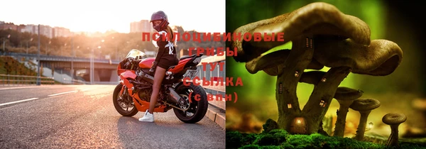 кокаин колумбия Струнино