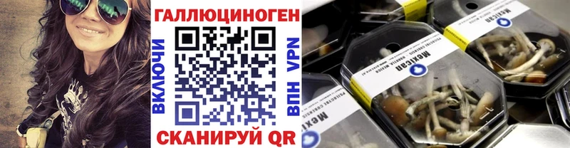Псилоцибиновые грибы прущие грибы  Терек 